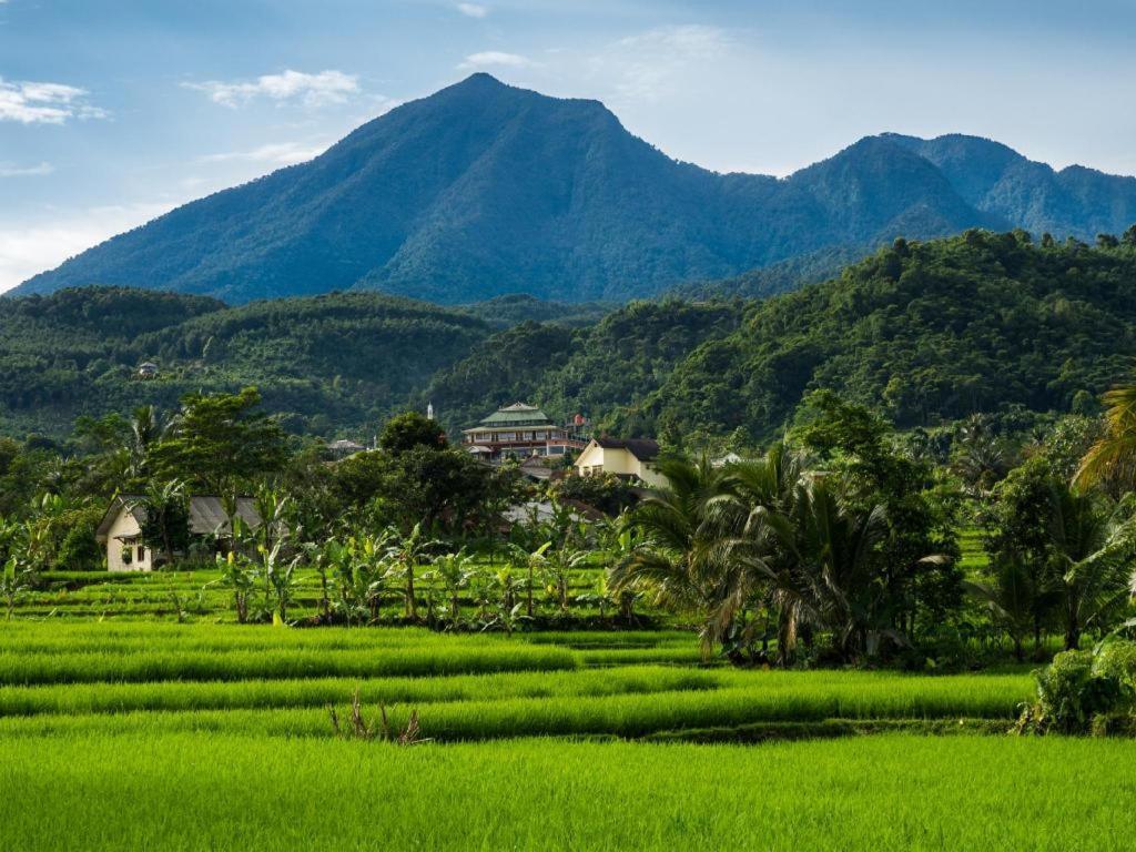 Bogor Valley Hotel Εξωτερικό φωτογραφία